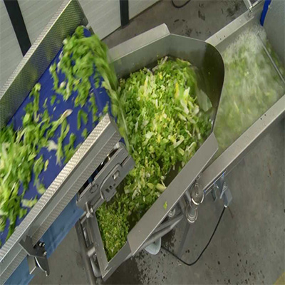Procesadora de Alimentos